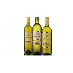 Kutjevo  white wine 