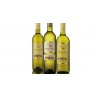 Kutjevo  white wine 