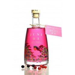 JUNI Londons  GIN 700ml Organic