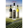 13 Jul Plantaze Kruna grape brandy 700ml