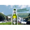 PREMINGER  Beer 0.33 x 20