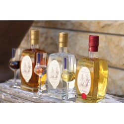 Bojkovcanka Premium Kajsija  Apricot  brandy 10 y.o