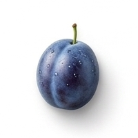 Plum
