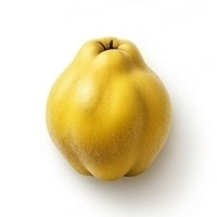 Quince