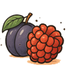 Raspberry & Plum