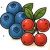Blueberry & Cranberry
