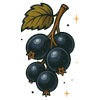 Blackberry